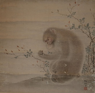 Свиток с изображением обезьянки, Мори Сосэн, Эдо, 18 в.